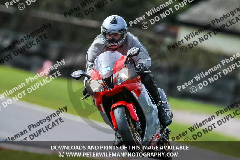 Oulton Park 21st March 2020;PJ Motorsport Photography 2020;anglesey;brands hatch;cadwell park;croft;donington park;enduro digital images;event digital images;eventdigitalimages;mallory;no limits;oulton park;peter wileman photography;racing digital images;silverstone;snetterton;trackday digital images;trackday photos;vmcc banbury run;welsh 2 day enduro
